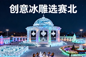 國內冰雕制作公司哪家好？賽北冰雕5大選擇標準解析